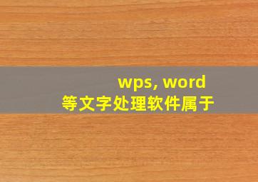 wps, word 等文字处理软件属于